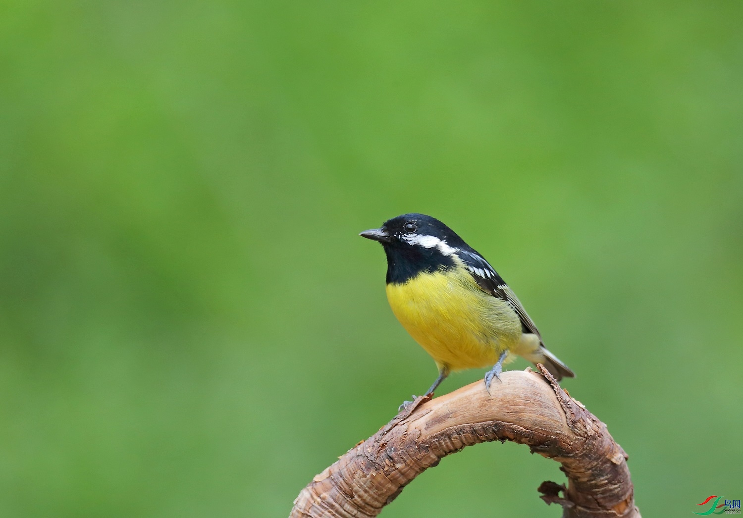 �����   ��ʦ������ɽ��ʡΫ���в�����0.jpg