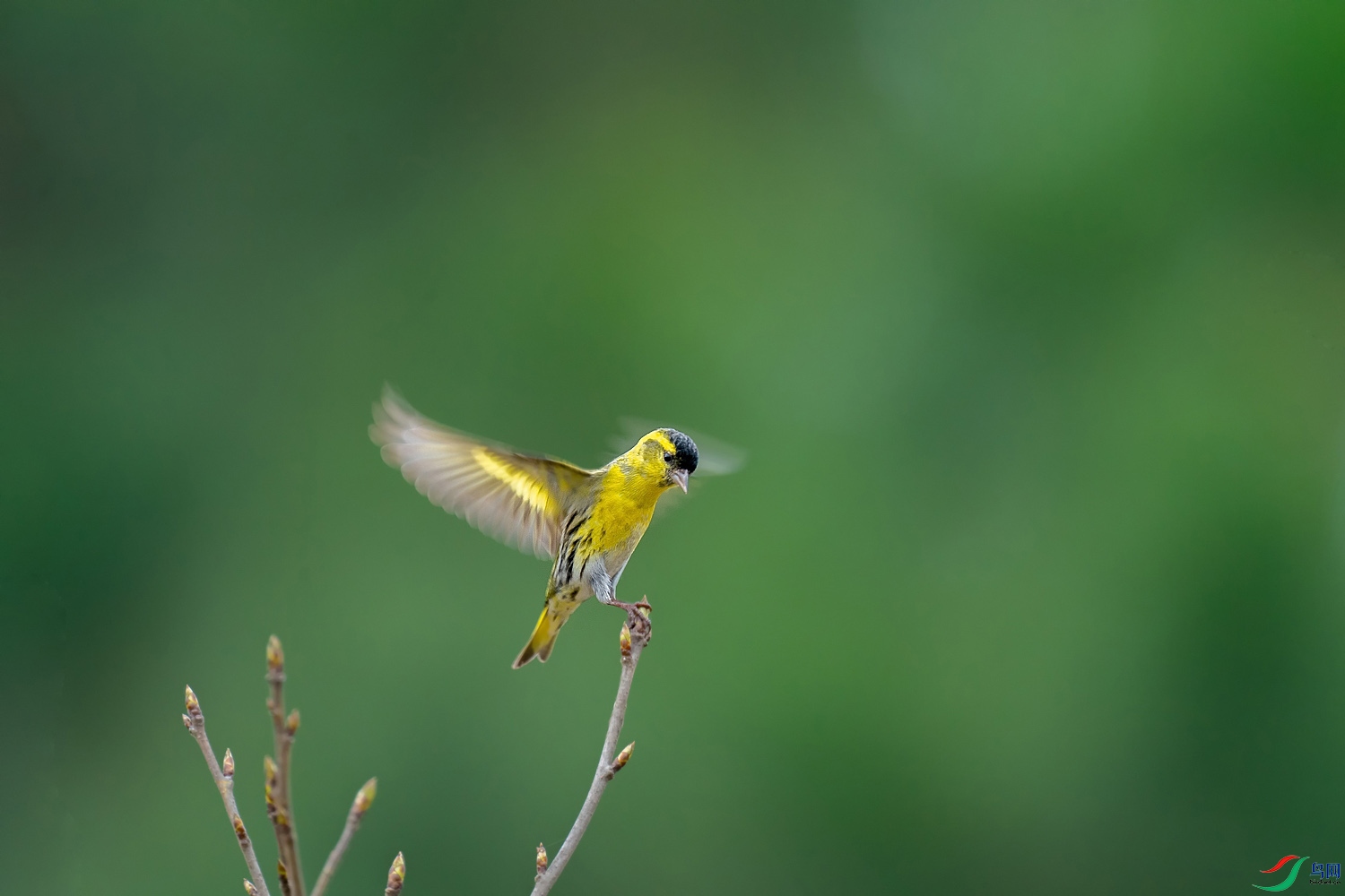 A9D04429a.jpg