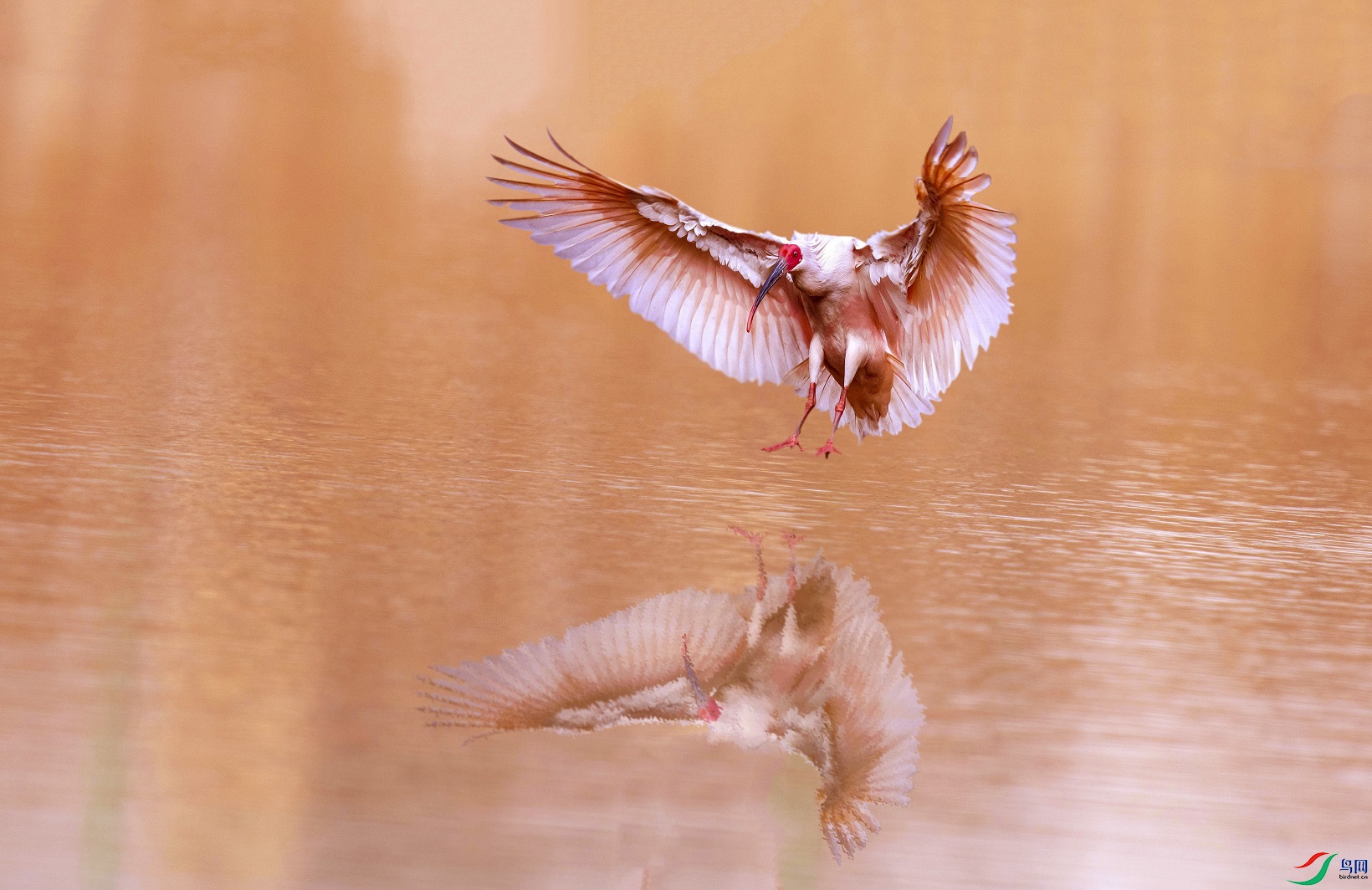 ���� _����.jpg