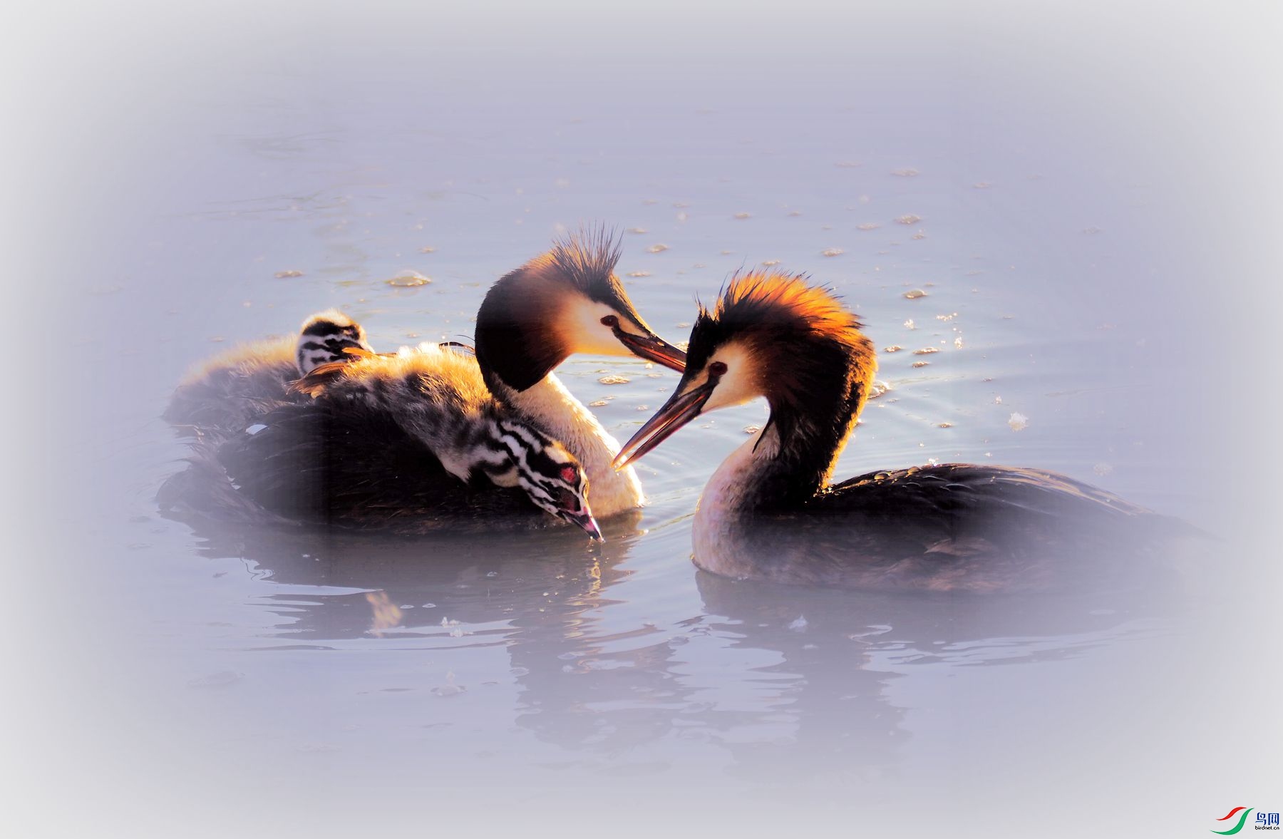 P6040296.jpg