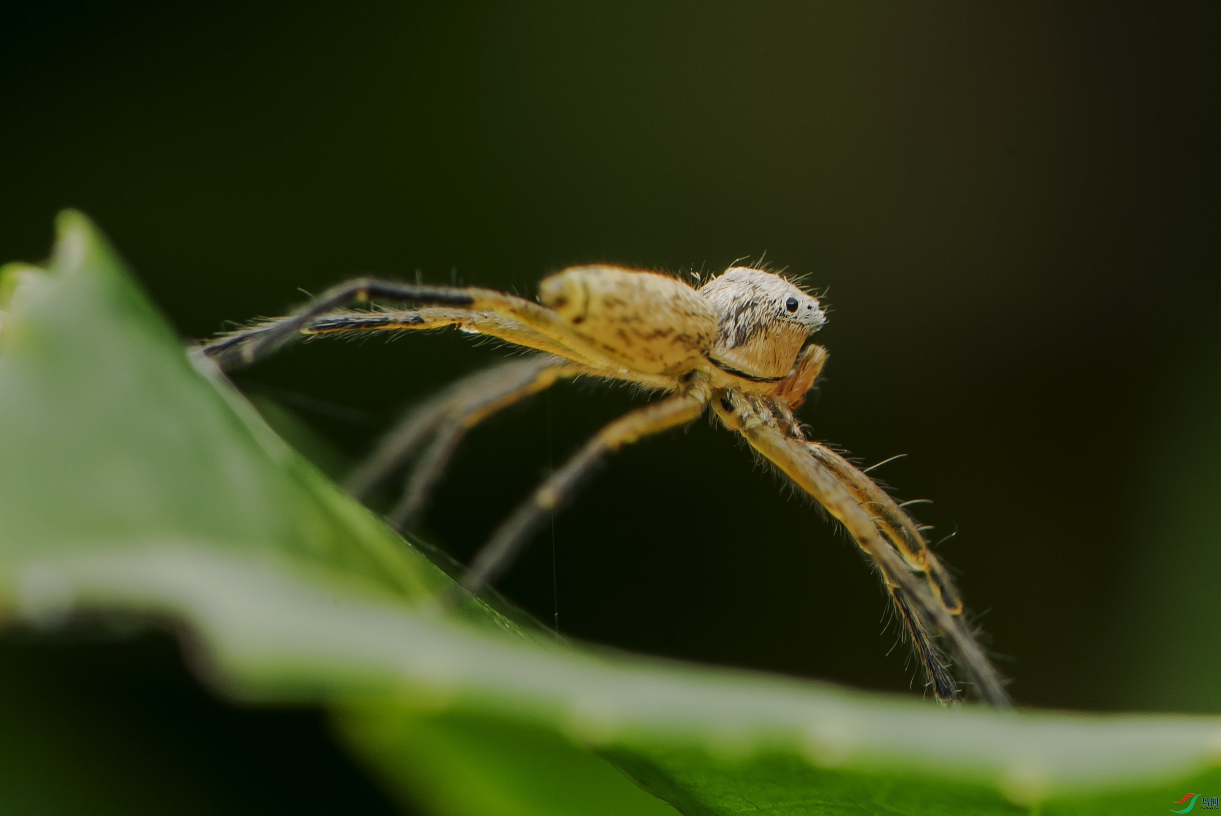 DSC_4145.jpg