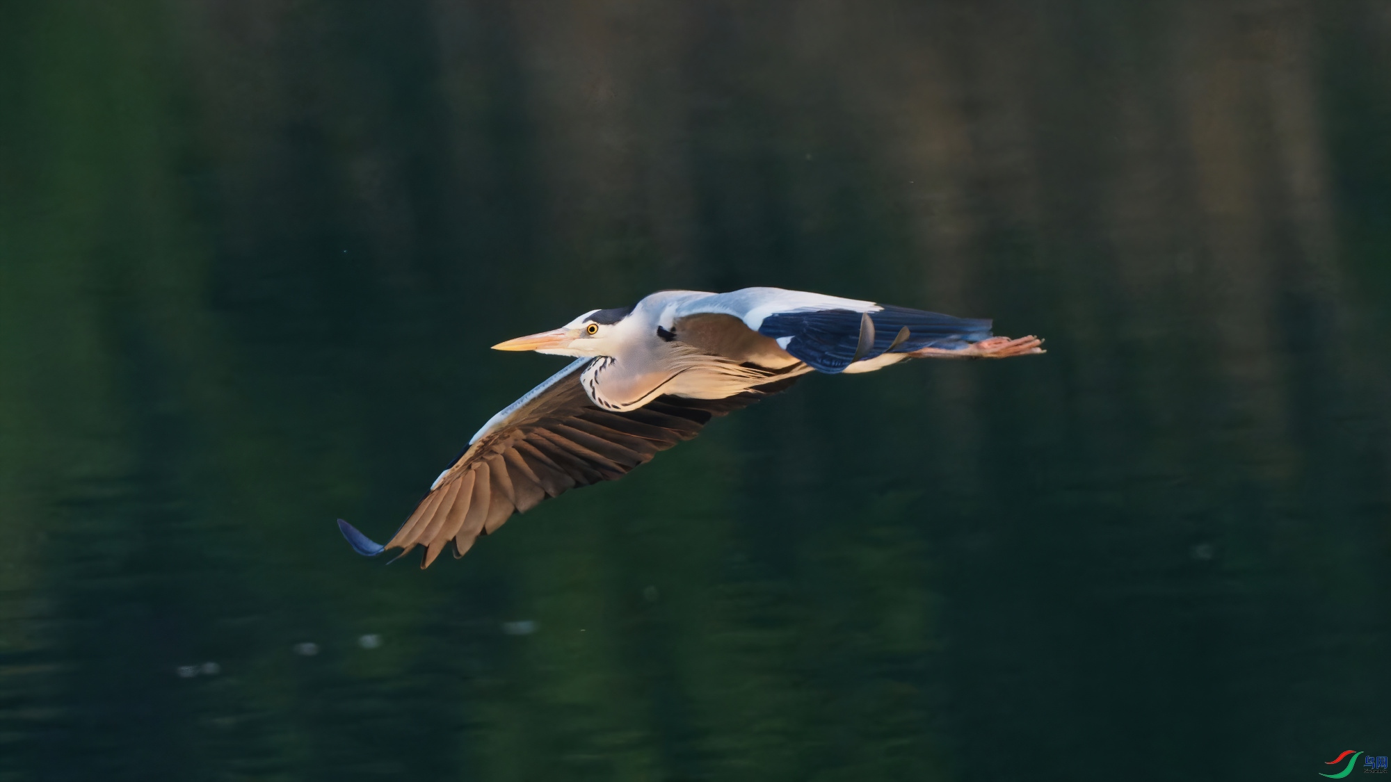 P3280316_DxO-sd2.jpg