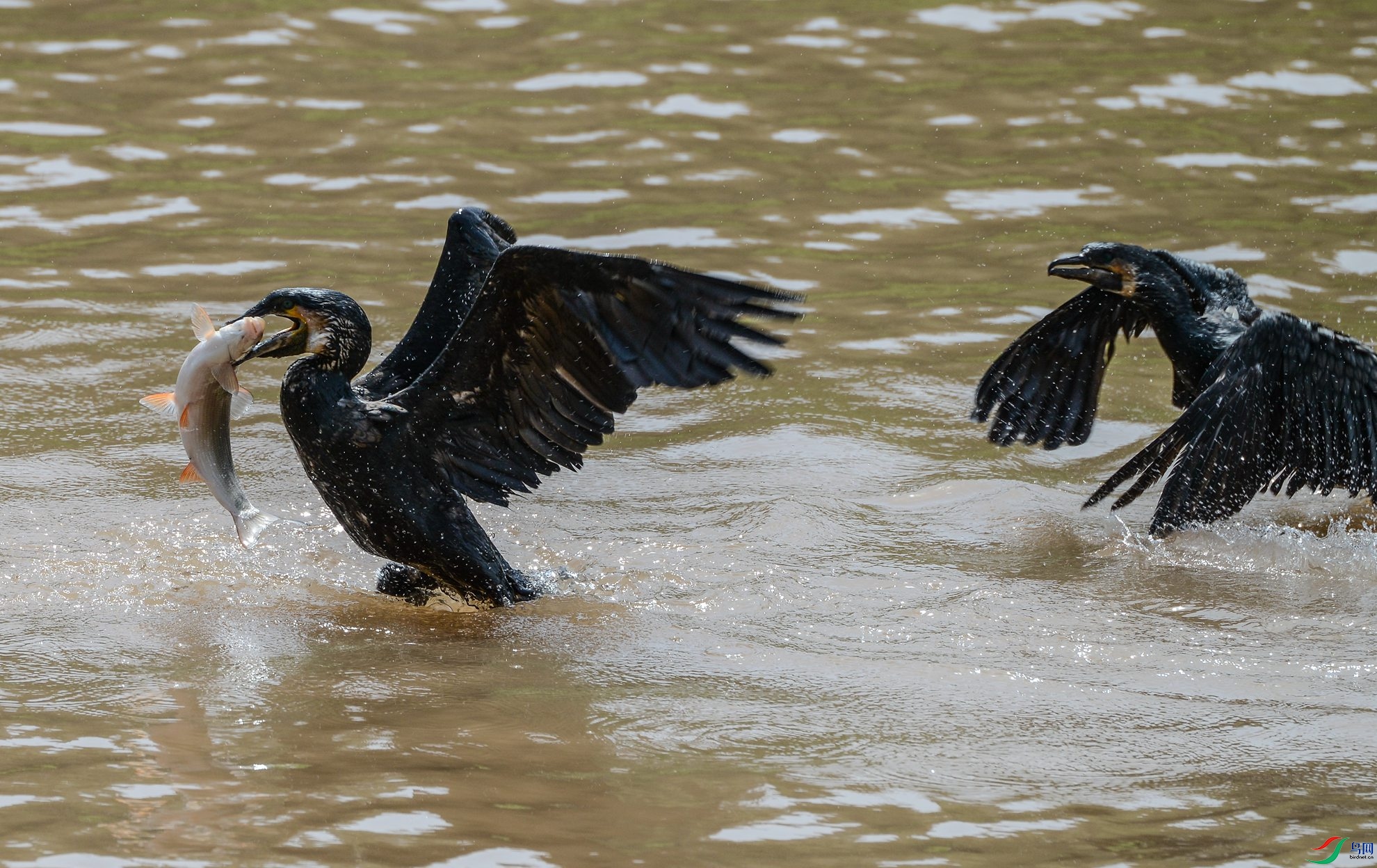 DSC_6290.jpg