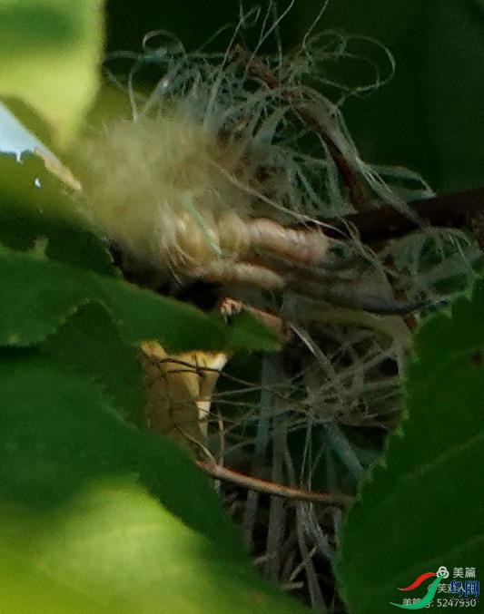 �ű�����