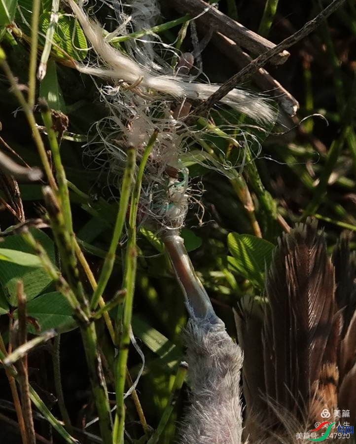 �ű����ö��