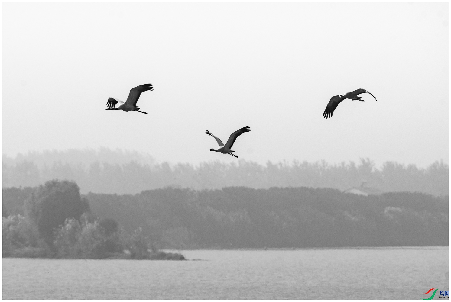 �׷ɺ�����