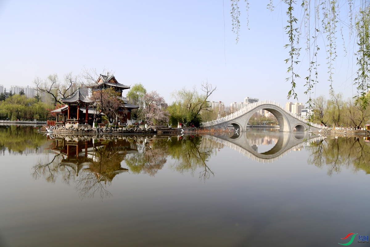 寶雞人民公園春色滿園