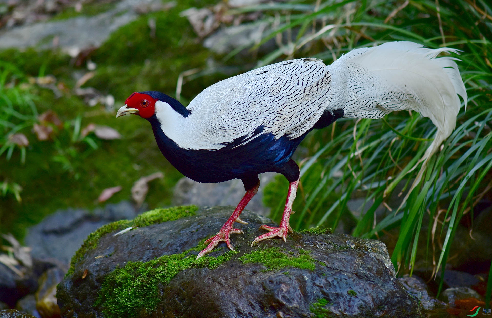 D8I_3806.jpg