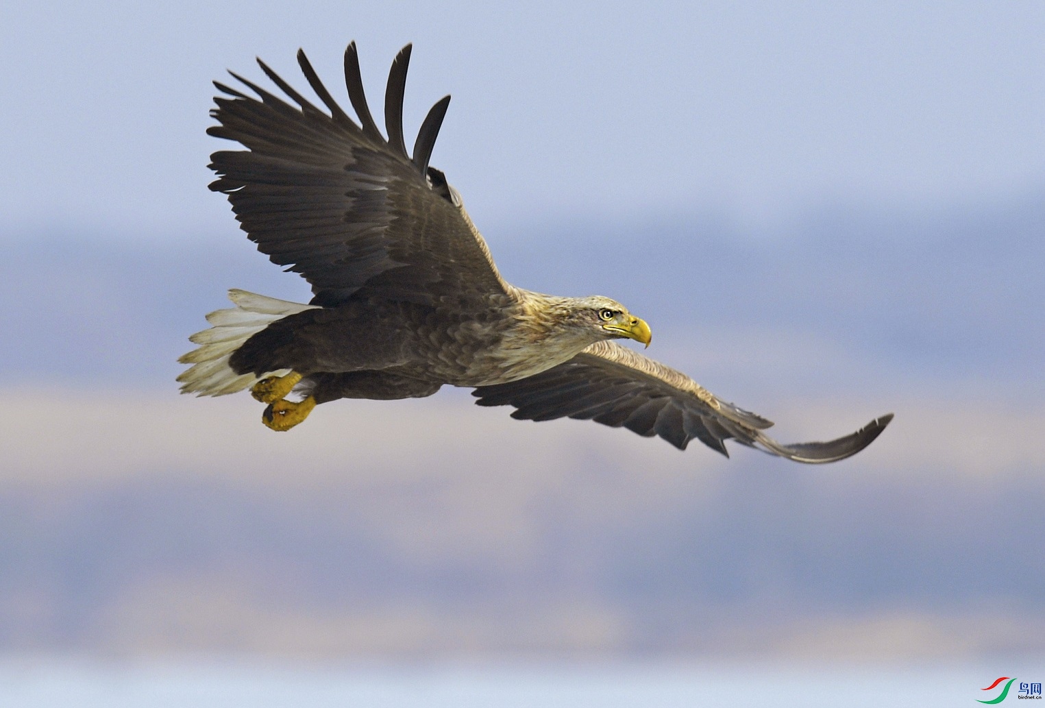 ��β����  �῵.jpg