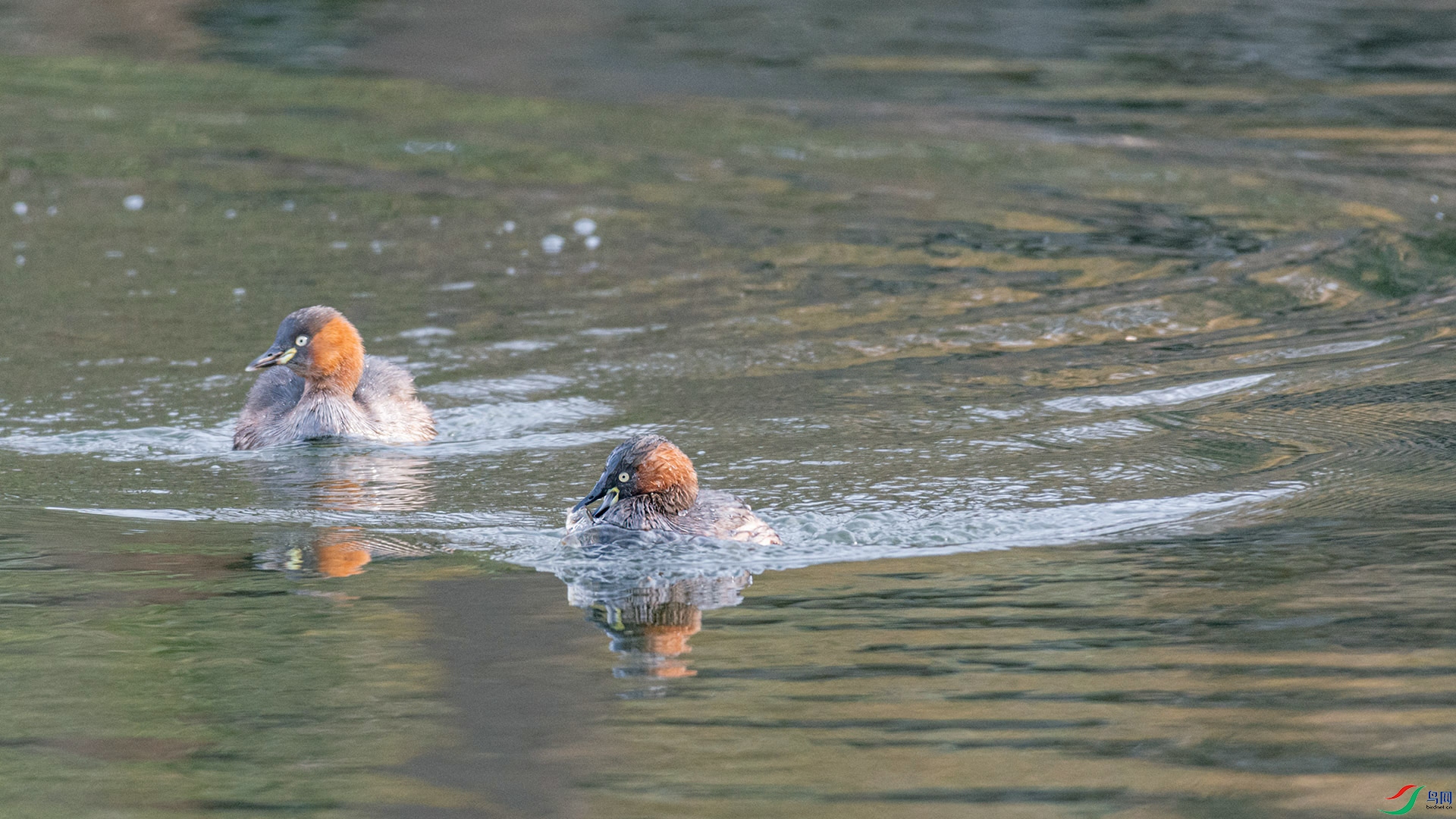 2.	һ����Ц�ġ����ա�