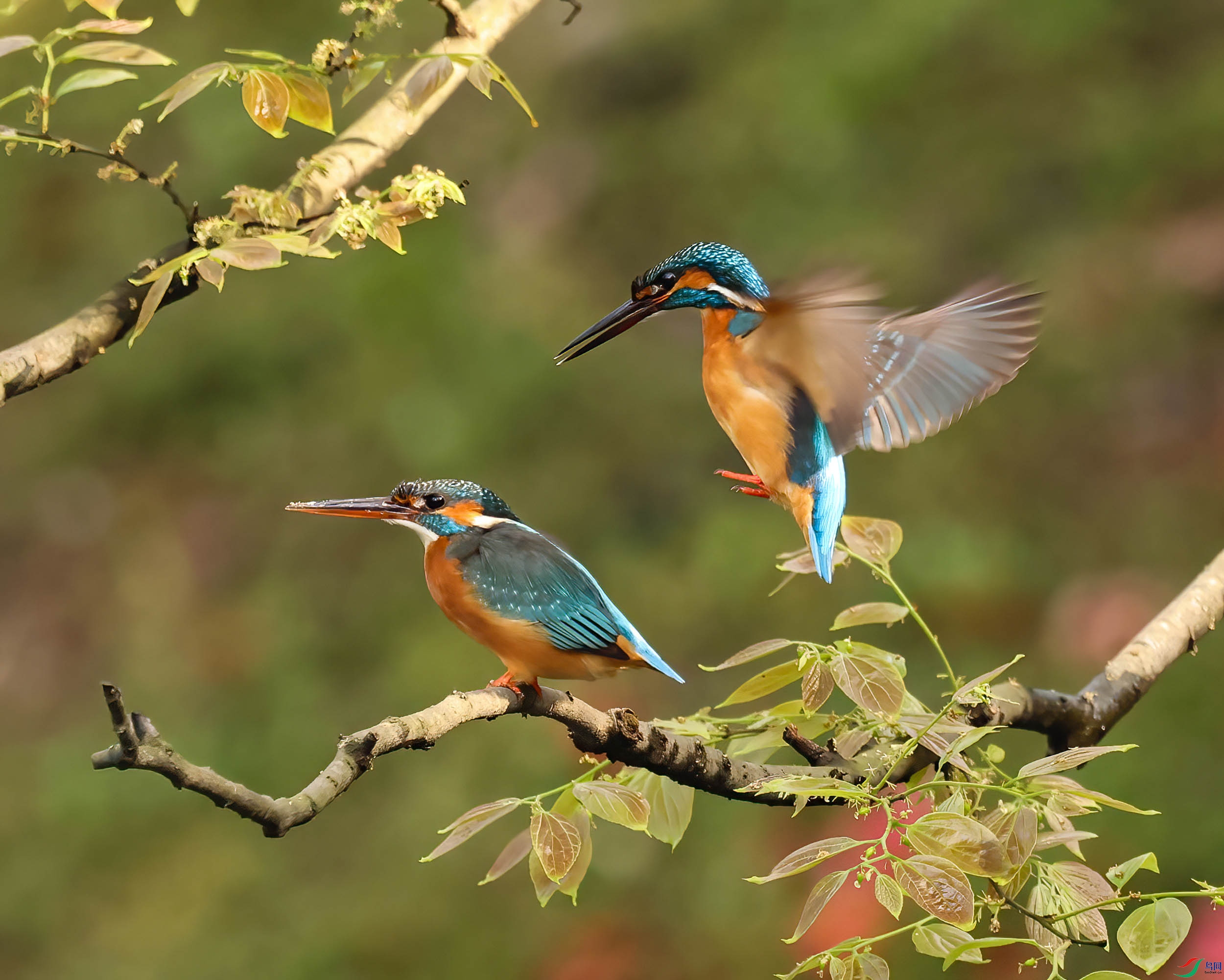 ���ڵĴ���