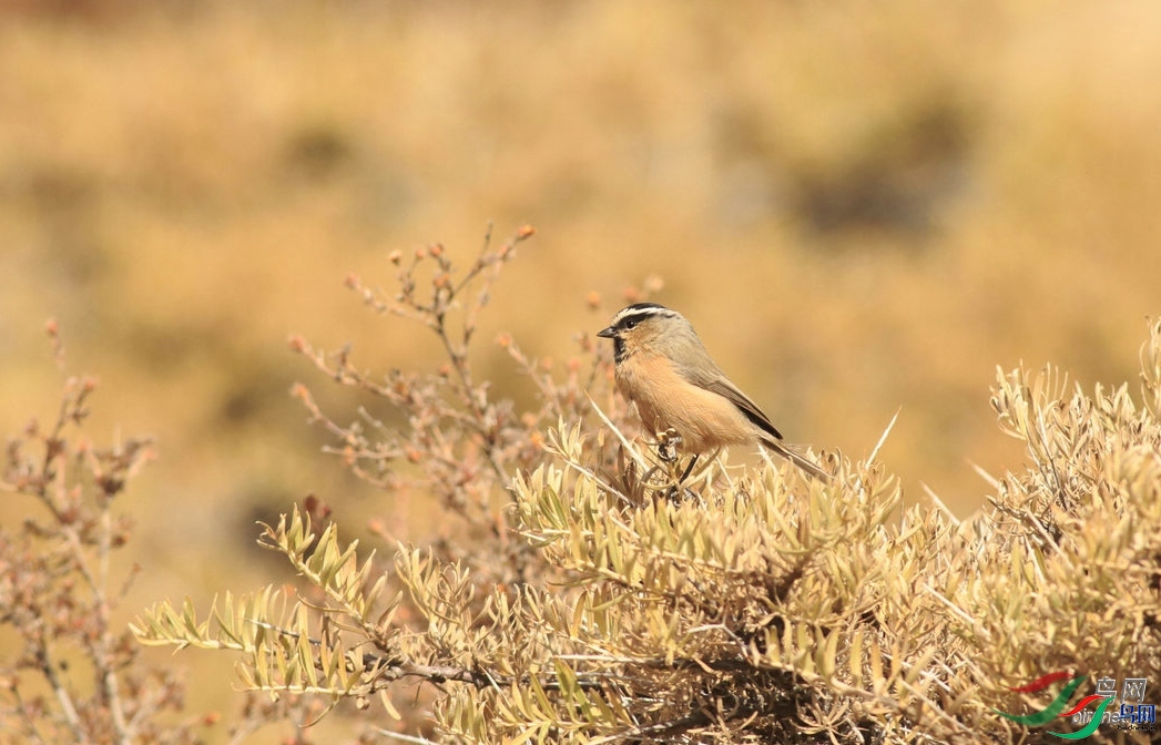 ��Ҳ����  ��ʦ�����ڸ���ʡ��������.jpg