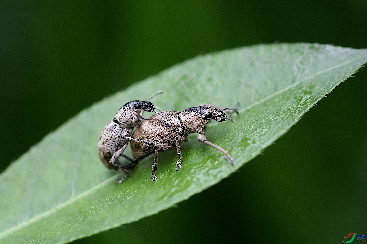 DSC_5890_00001.jpg
