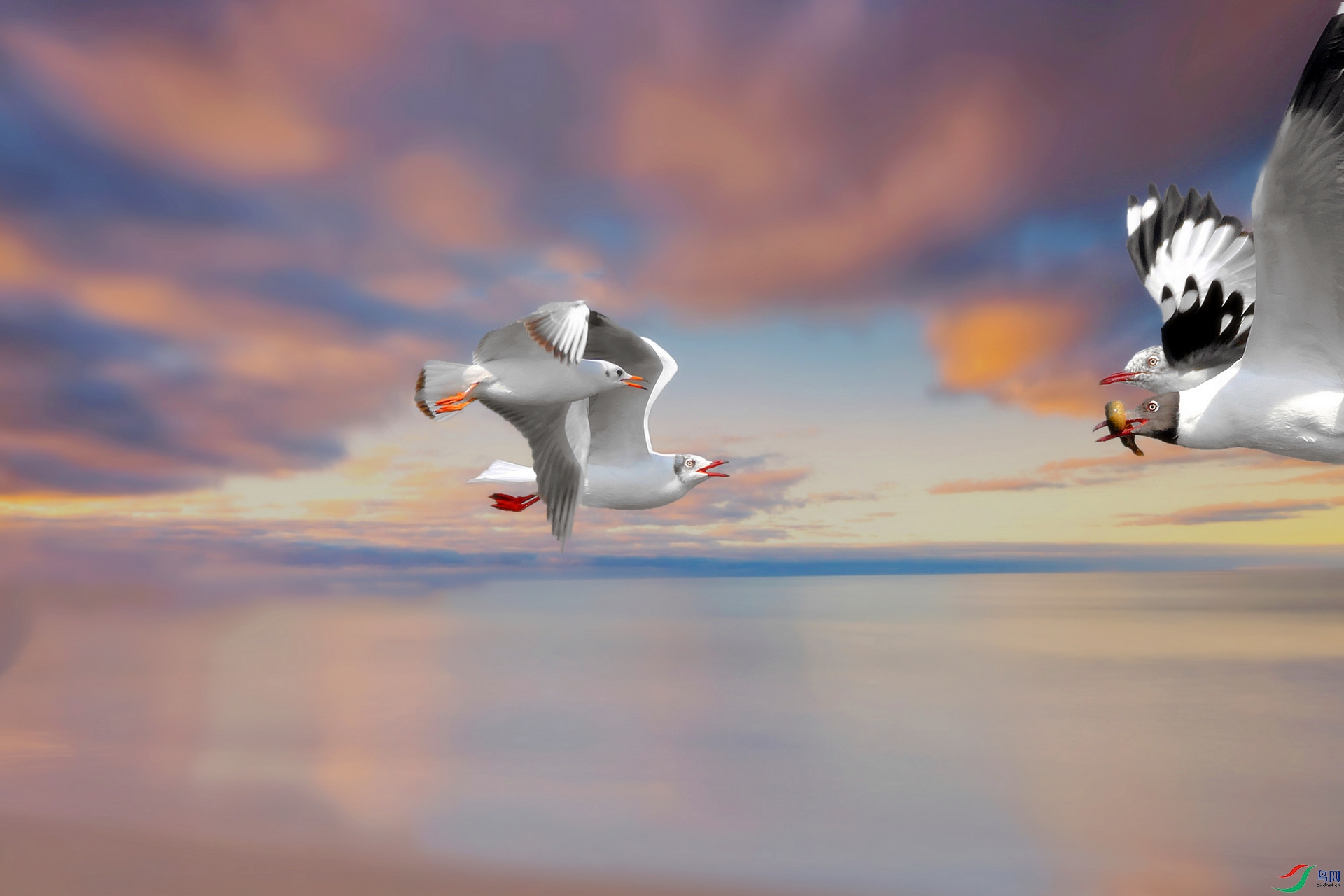 20210024.Χ׷�½أ�ֻΪ����֮��