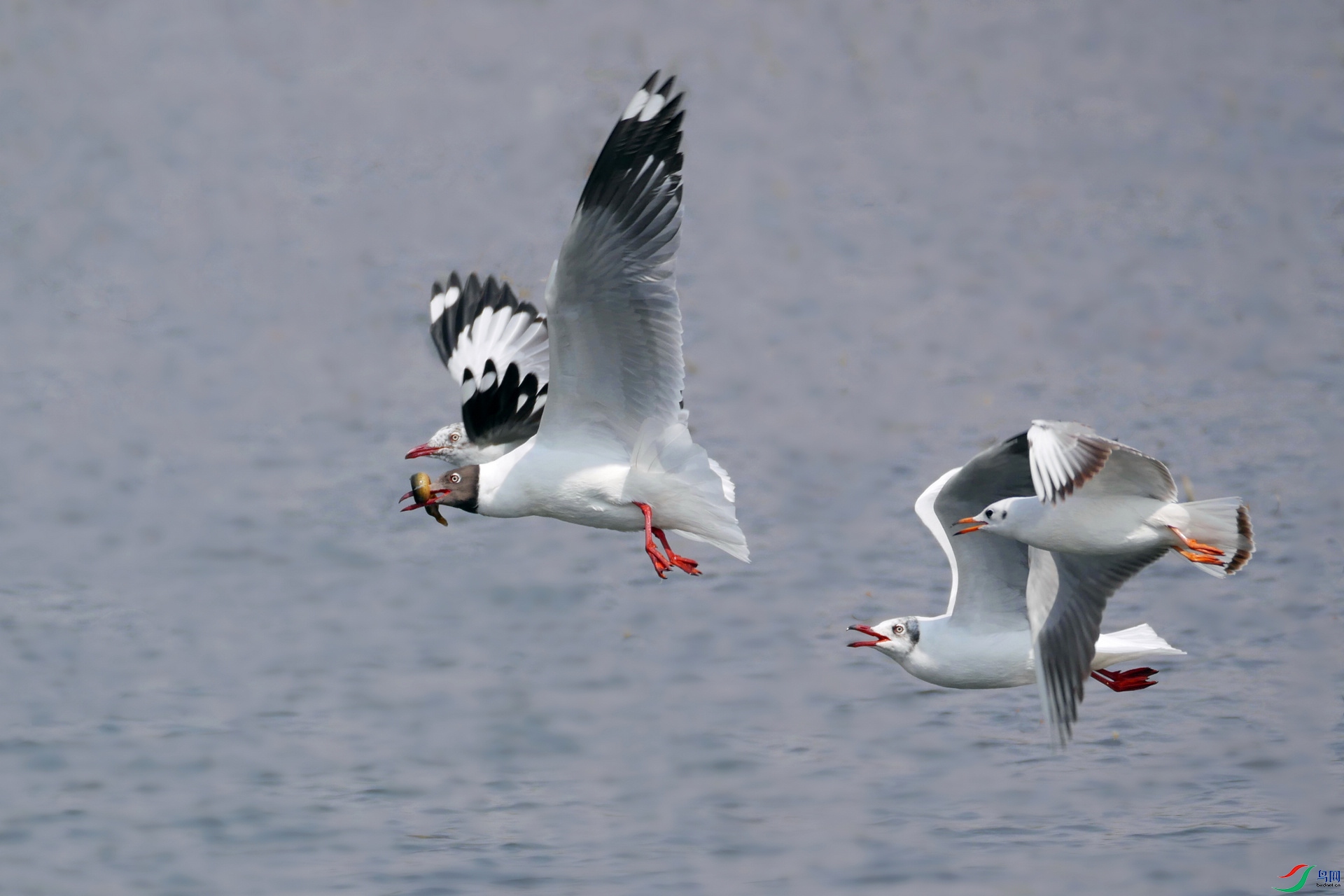 20210025.�������زģ���ͷ�����졢����������