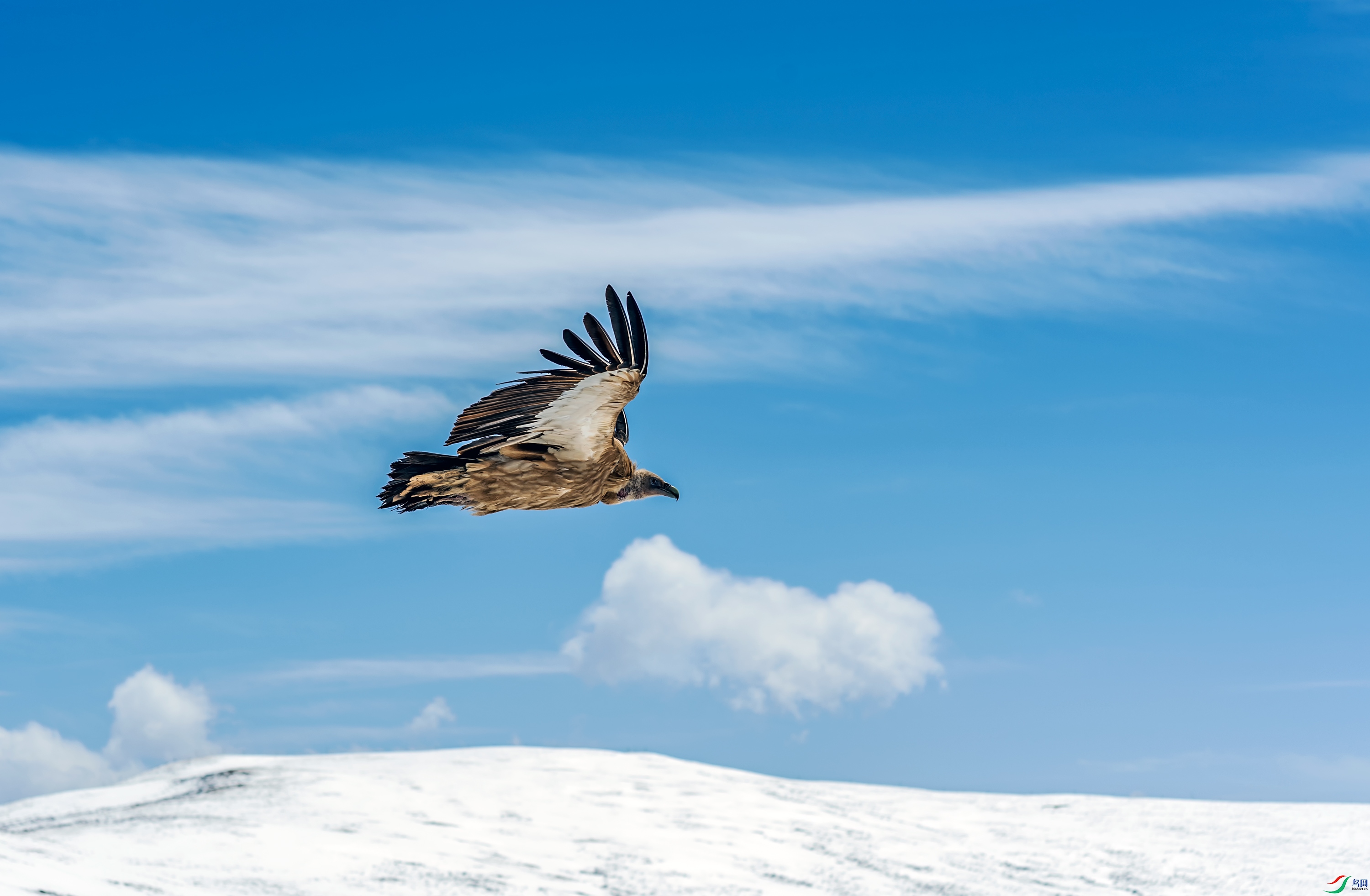 _DSC1586_��ͼ��.jpg