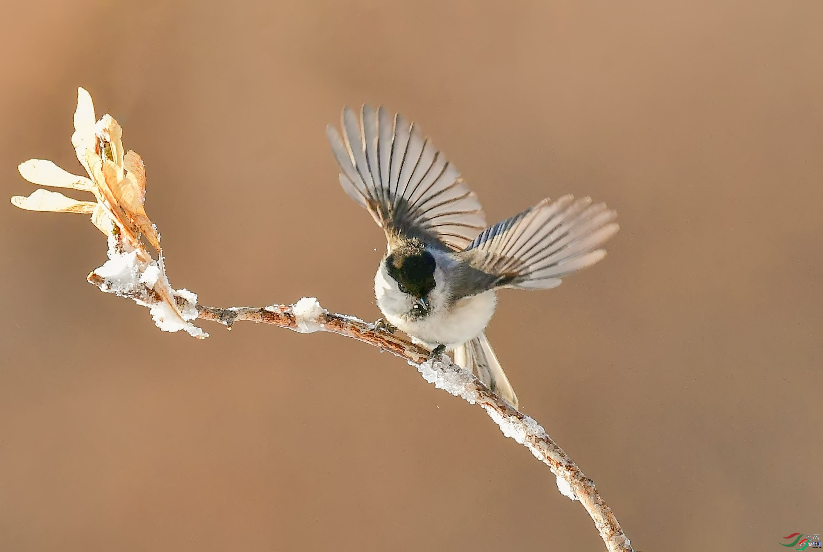 ̫ƽ��1  ��ʦ�����ں�����ʡ������.jpg