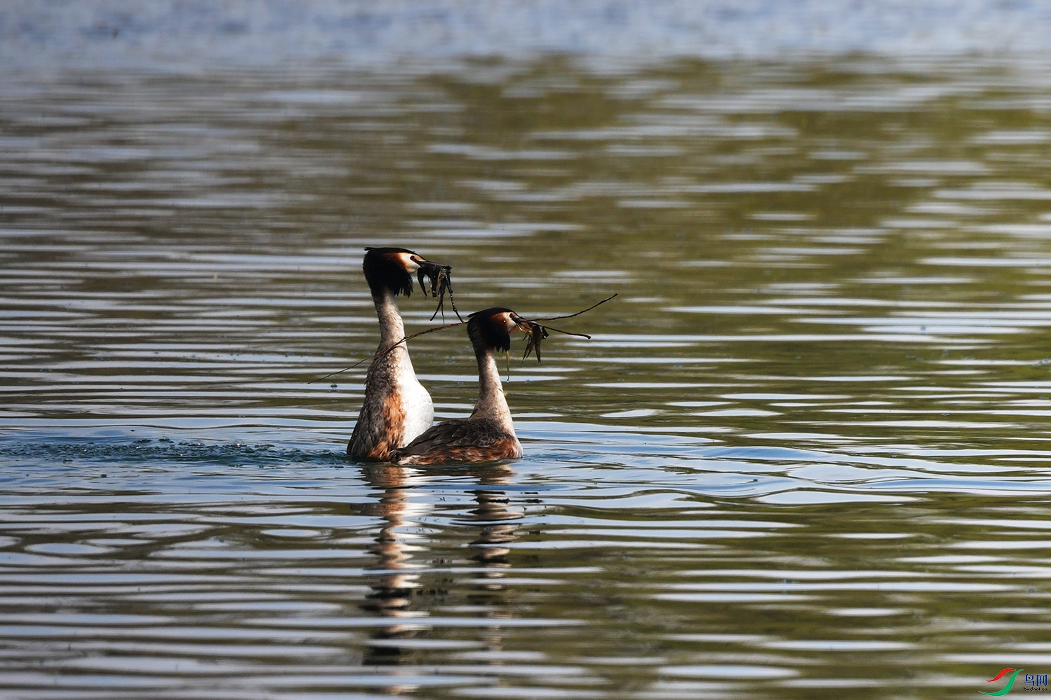 DSC_5999.jpg
