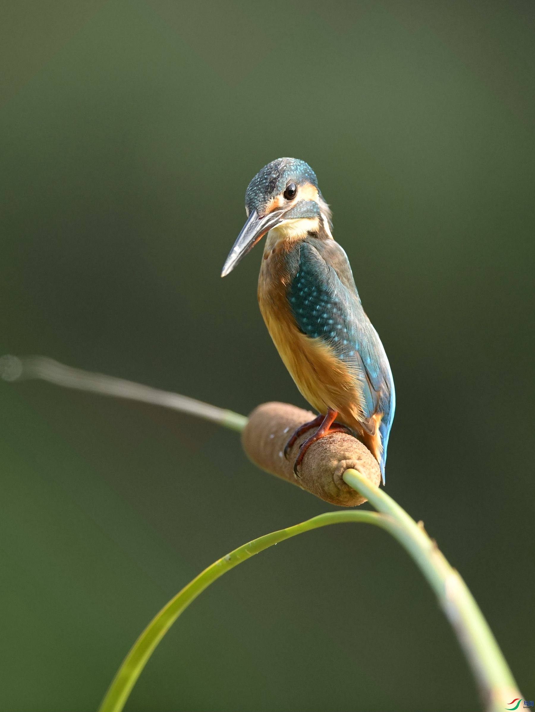 �ӱ���ˮ����ͯ�����ץ�ġ�