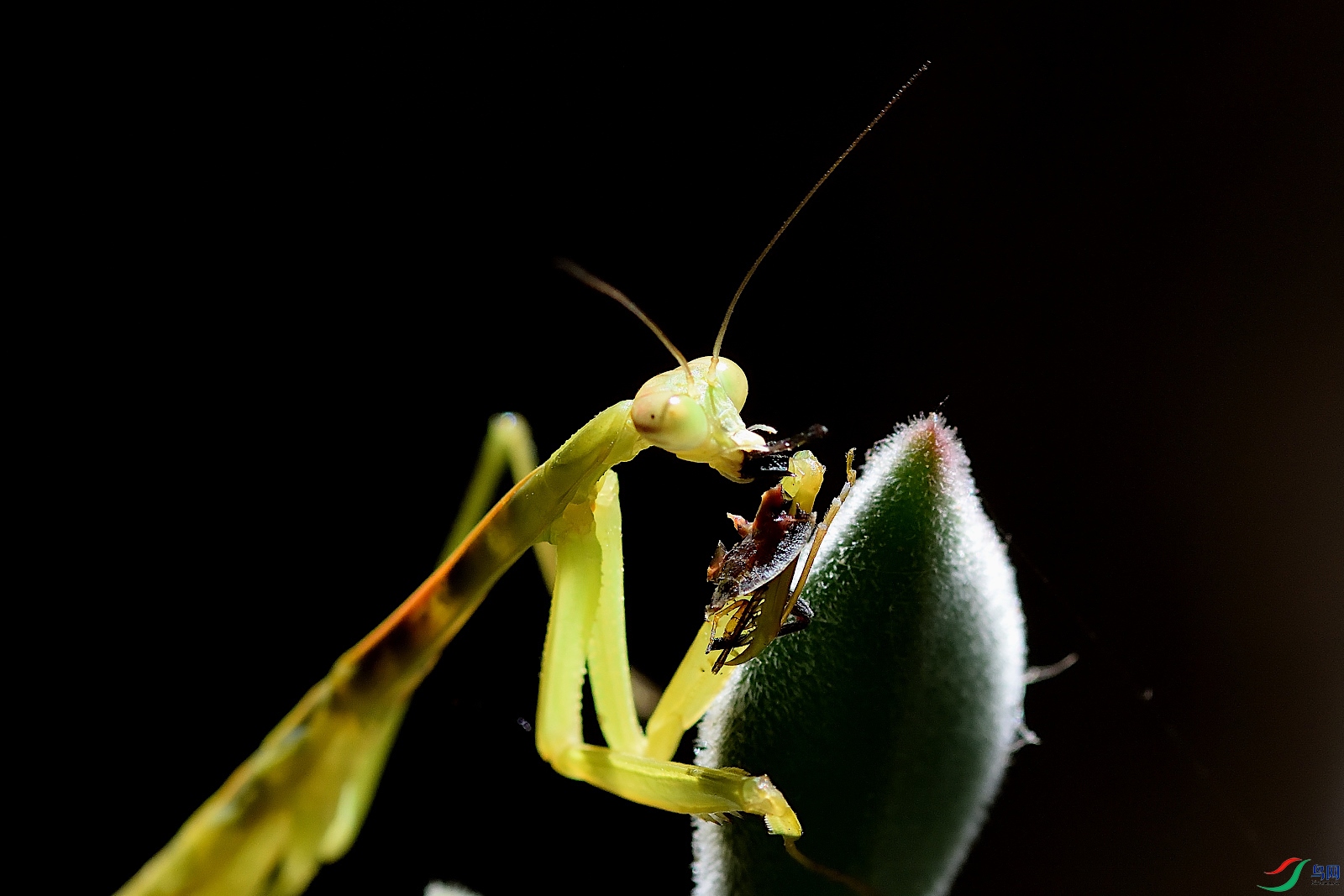 DSC_6683_00005.jpg
