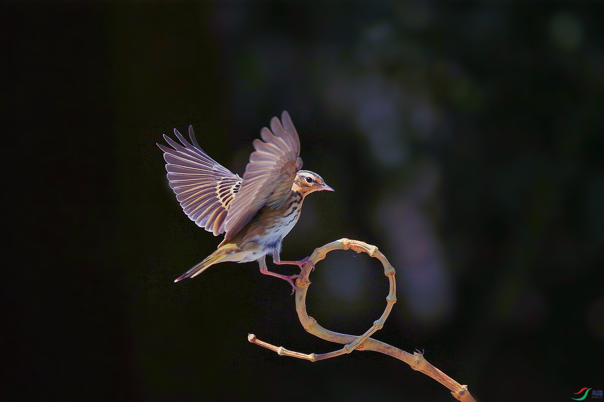 1Y0A2310_����.jpg