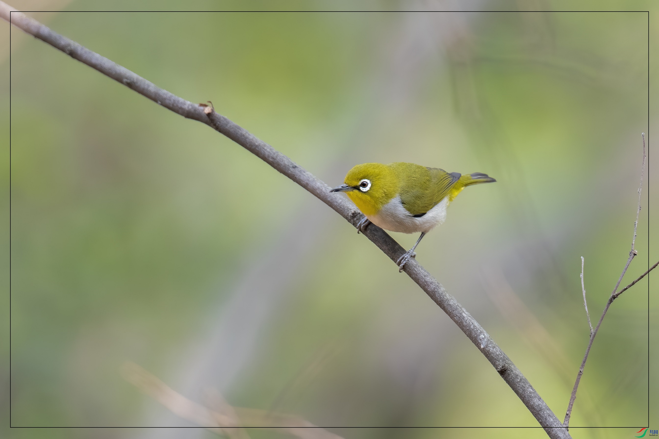DSC_5241.jpg