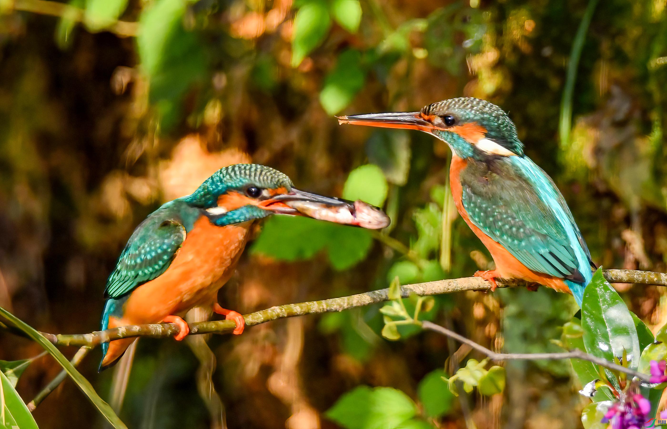 �������