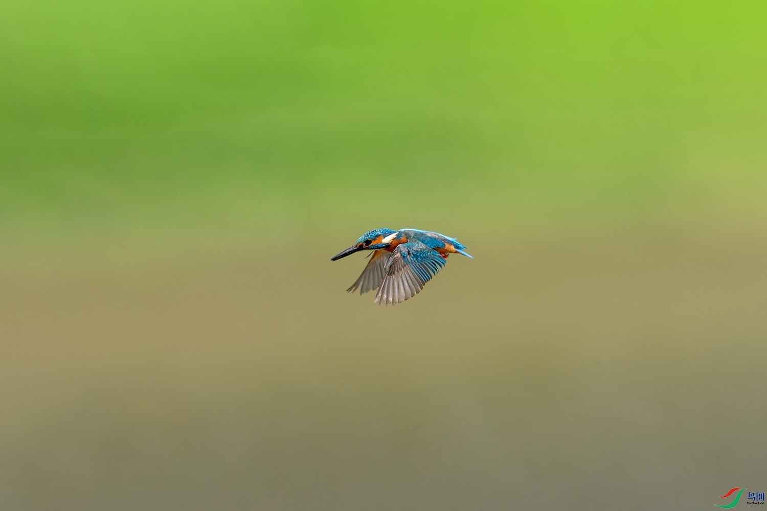 A9D00404a.jpg
