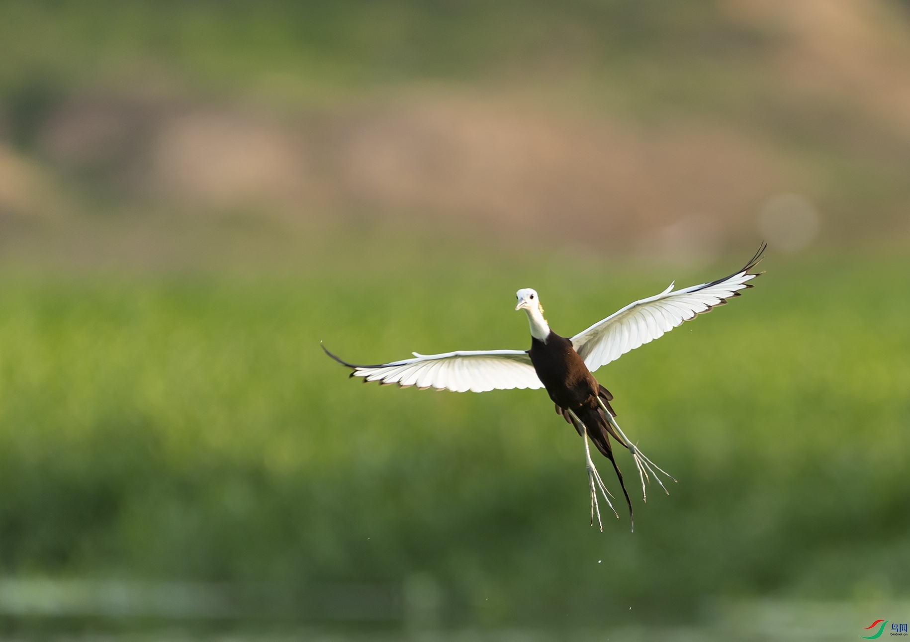 DSC_1443.jpg