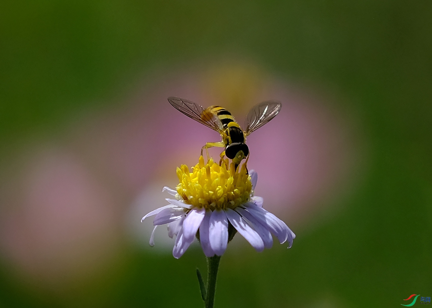 DSCF6576.JPG