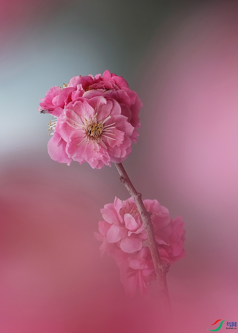 DSCF5328.JPG