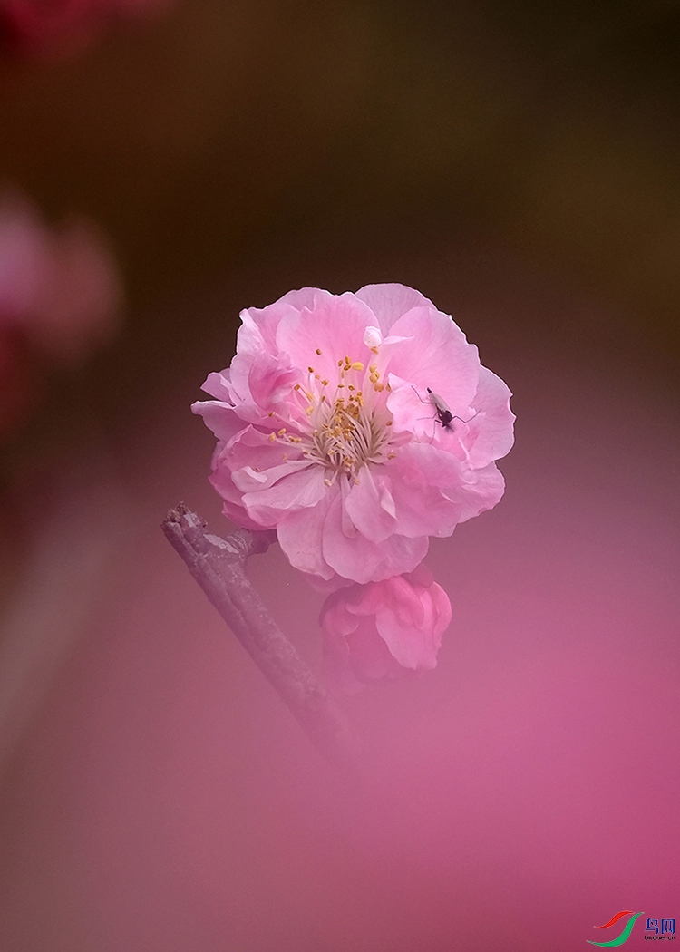 DSCF5803.JPG