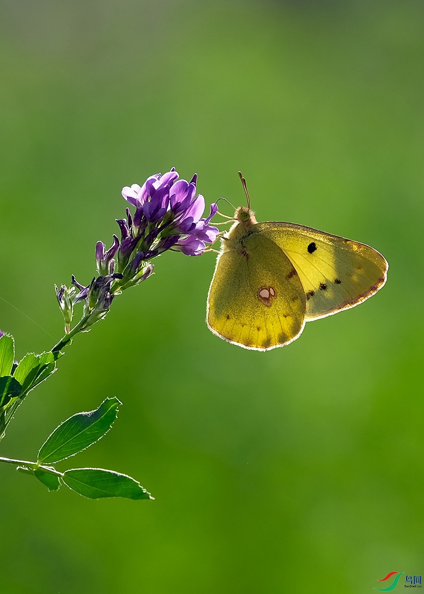 DSCF9165.JPG