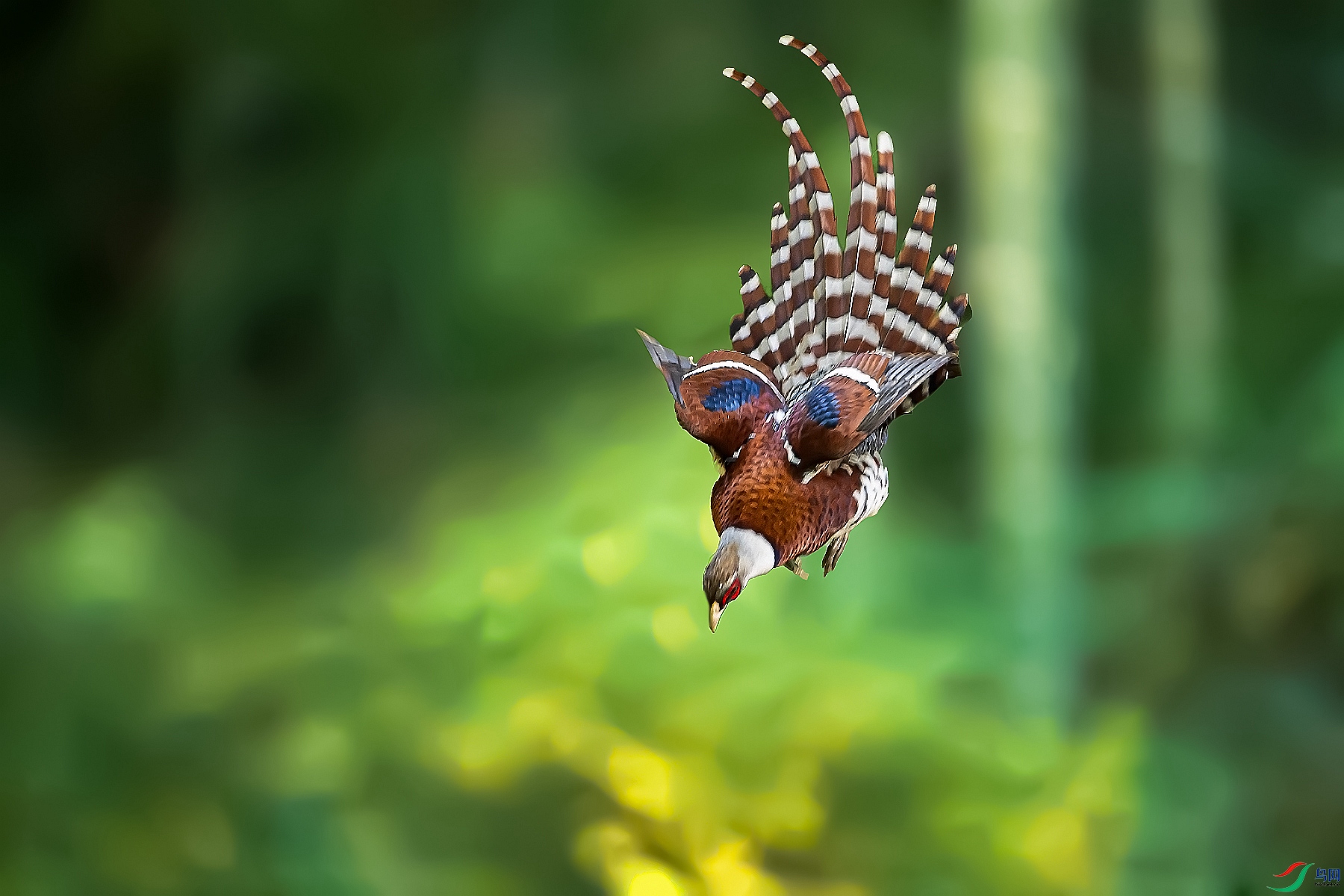 DSC_9705-3.jpg
