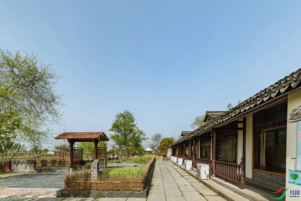 新农村——善琏镇窑里村