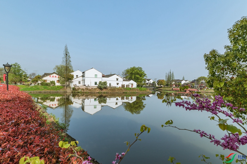 新农村——善琏镇窑里村