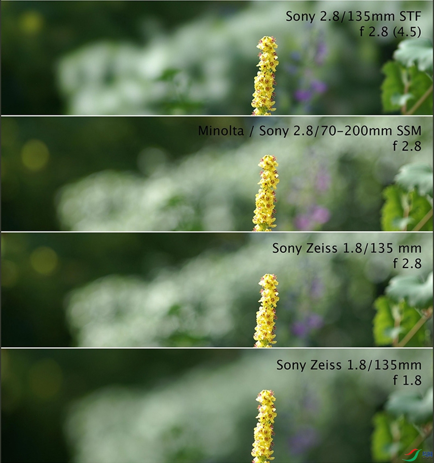 ���ܴ�135STF��ͷ�Ľ���Ա�_����.jpg