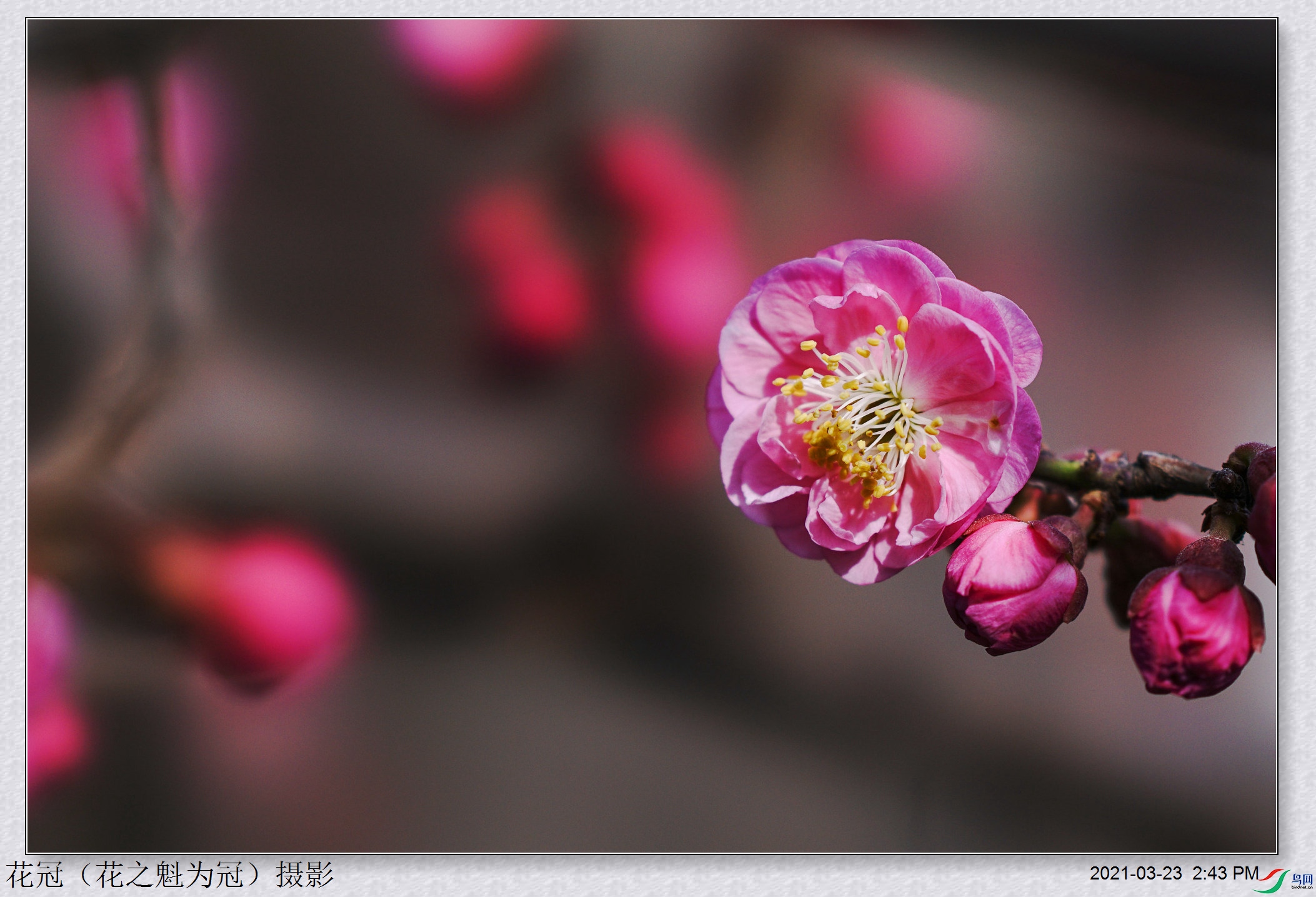 DSC04098B-1_����.jpg