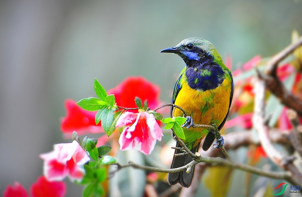 ��Ƭ 782_����.jpg