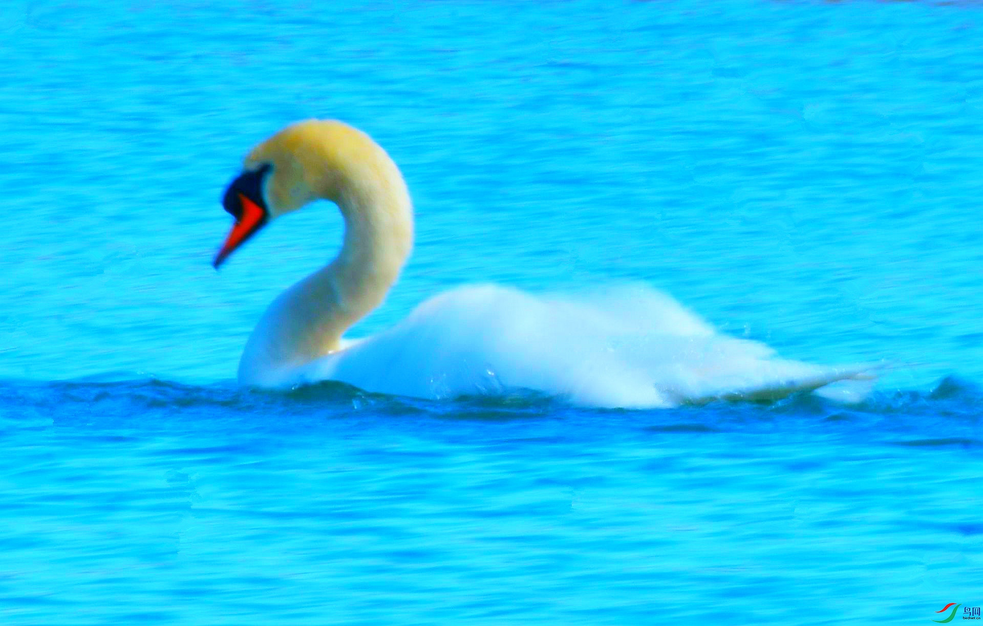 DSC_2386_����.jpg