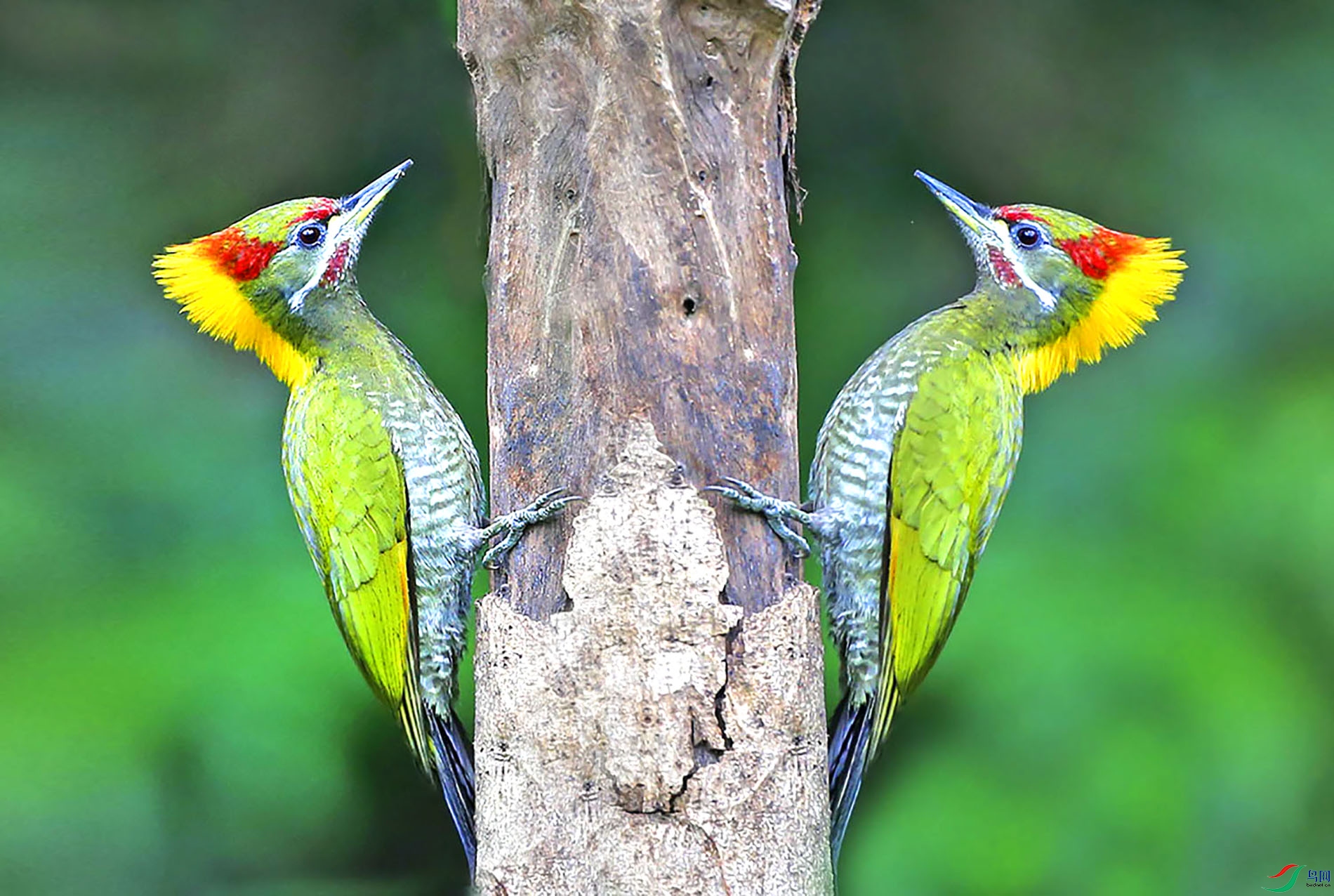 CK6K0021.JPG