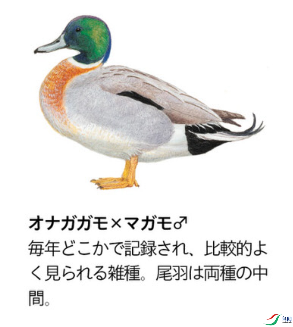 ����2021-04-01 09.15.17.jpg