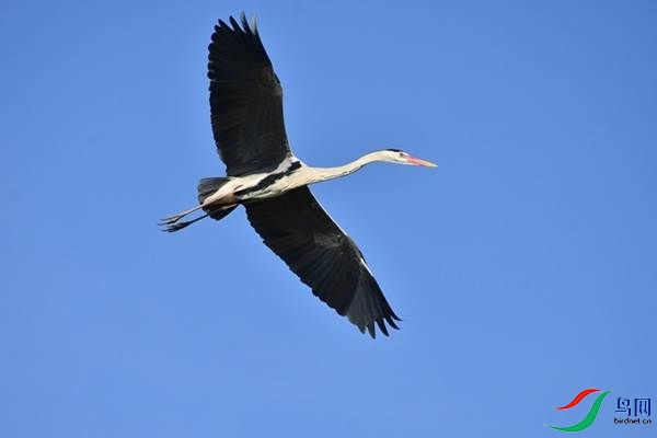1 (195).JPG