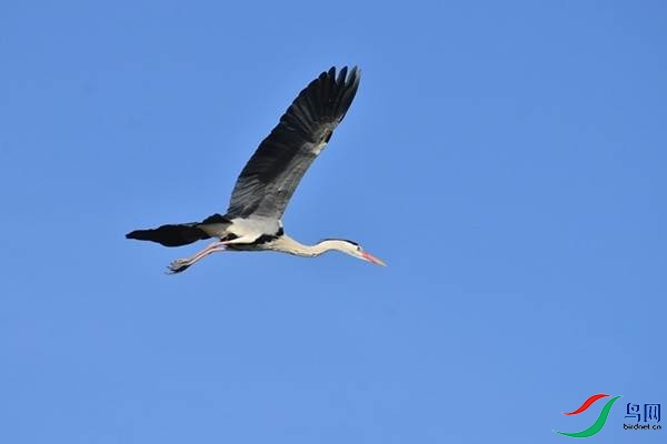 1 (221).JPG