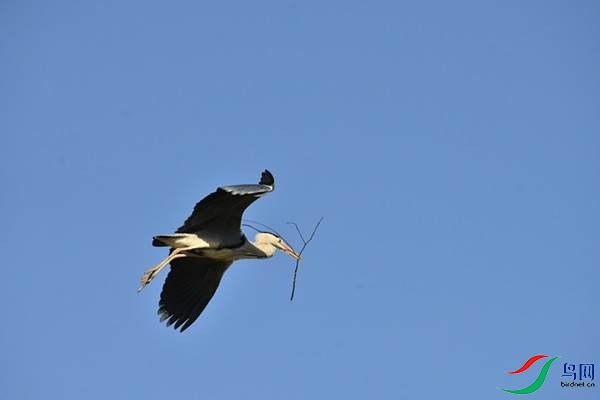 1 (146).JPG