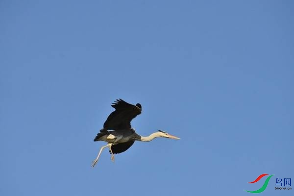 2 (167).JPG
