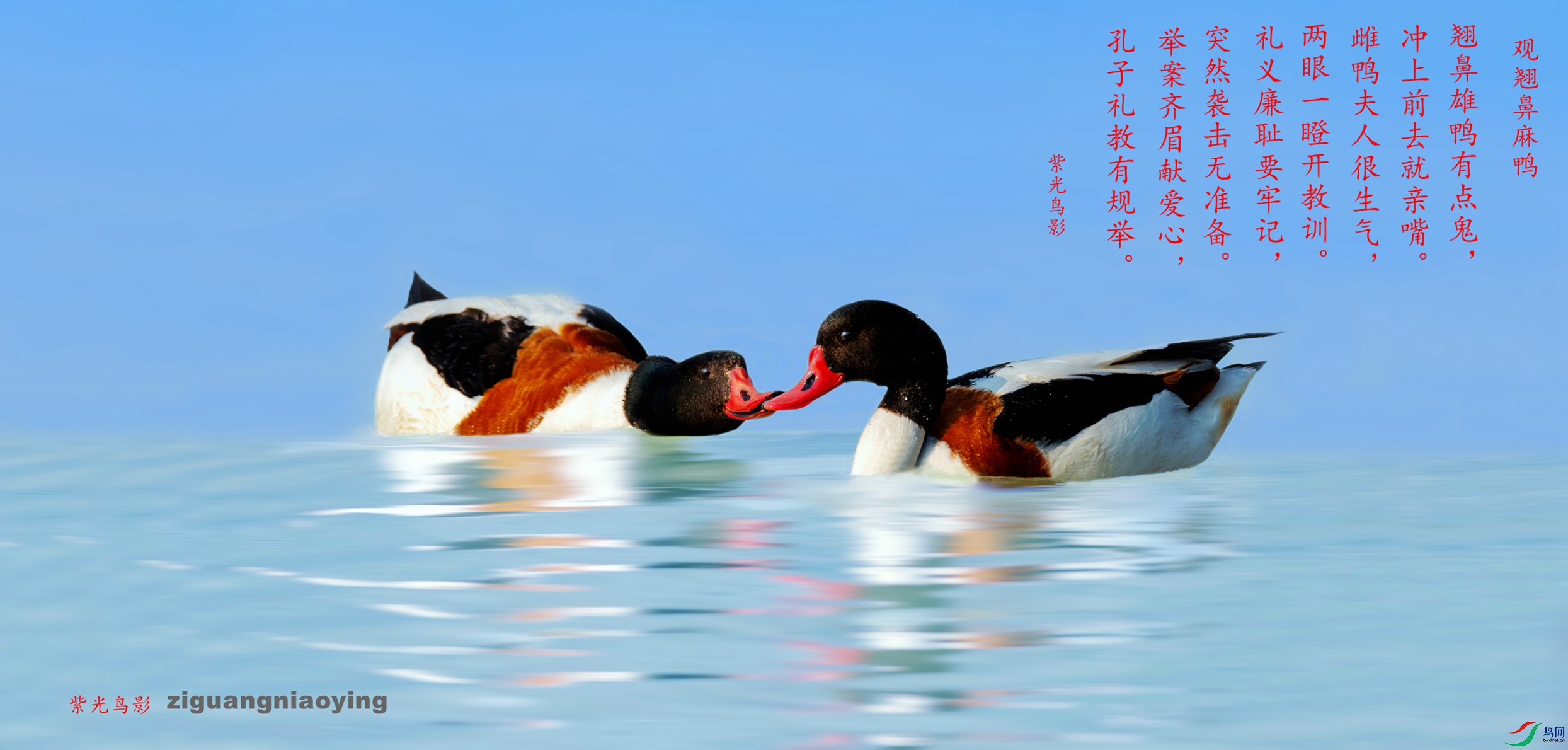 ABM_4932_����_����.jpg