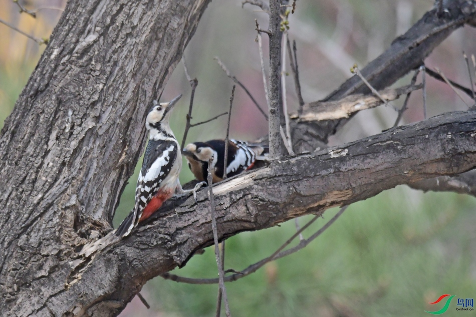 DSC_5756�ɷ�.jpg