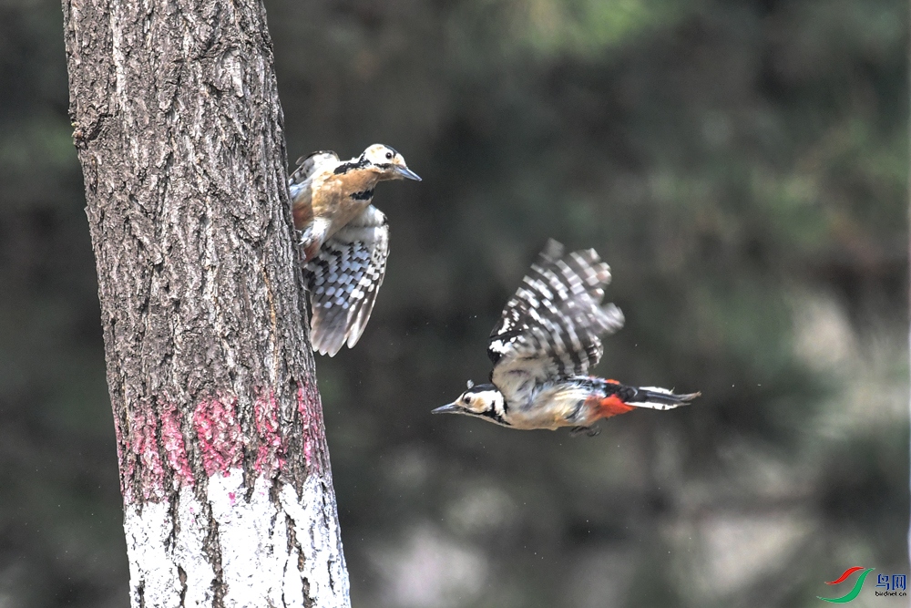 DSC_5865�ɷ�.jpg