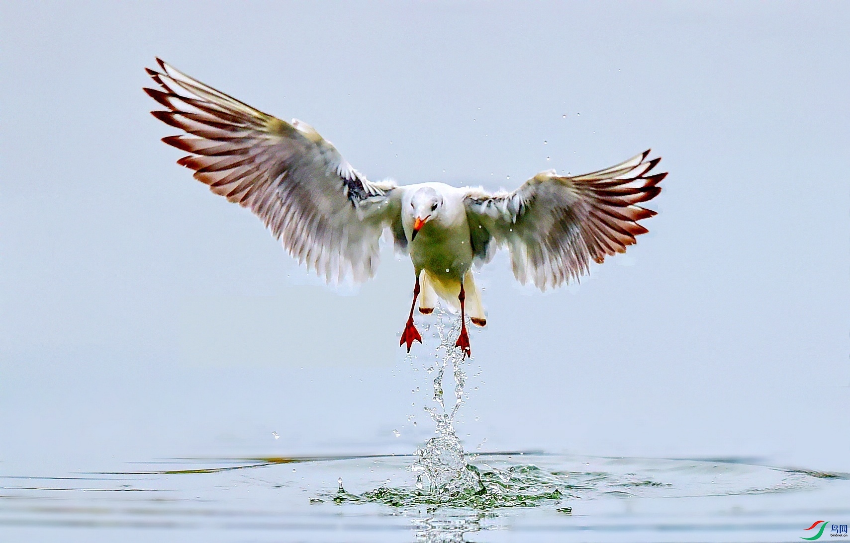 DSC_3396_conew5.jpg